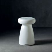 porcino-seduta-giardino