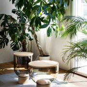 mastea-209695200916323