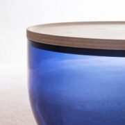 mastea-310011200110444